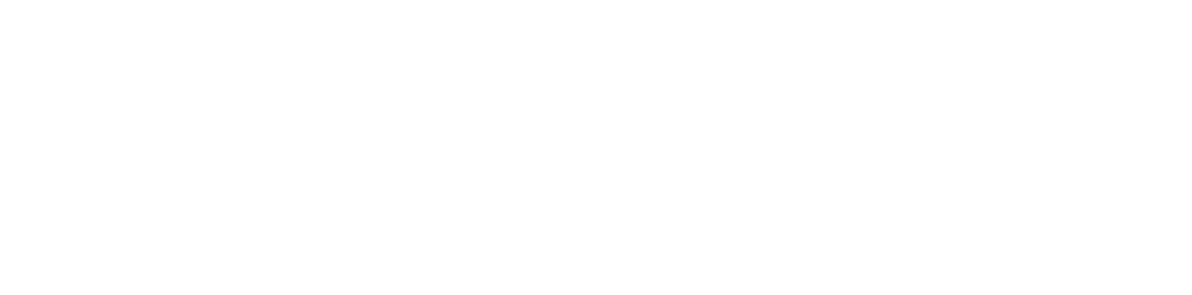 adviseyou logo
